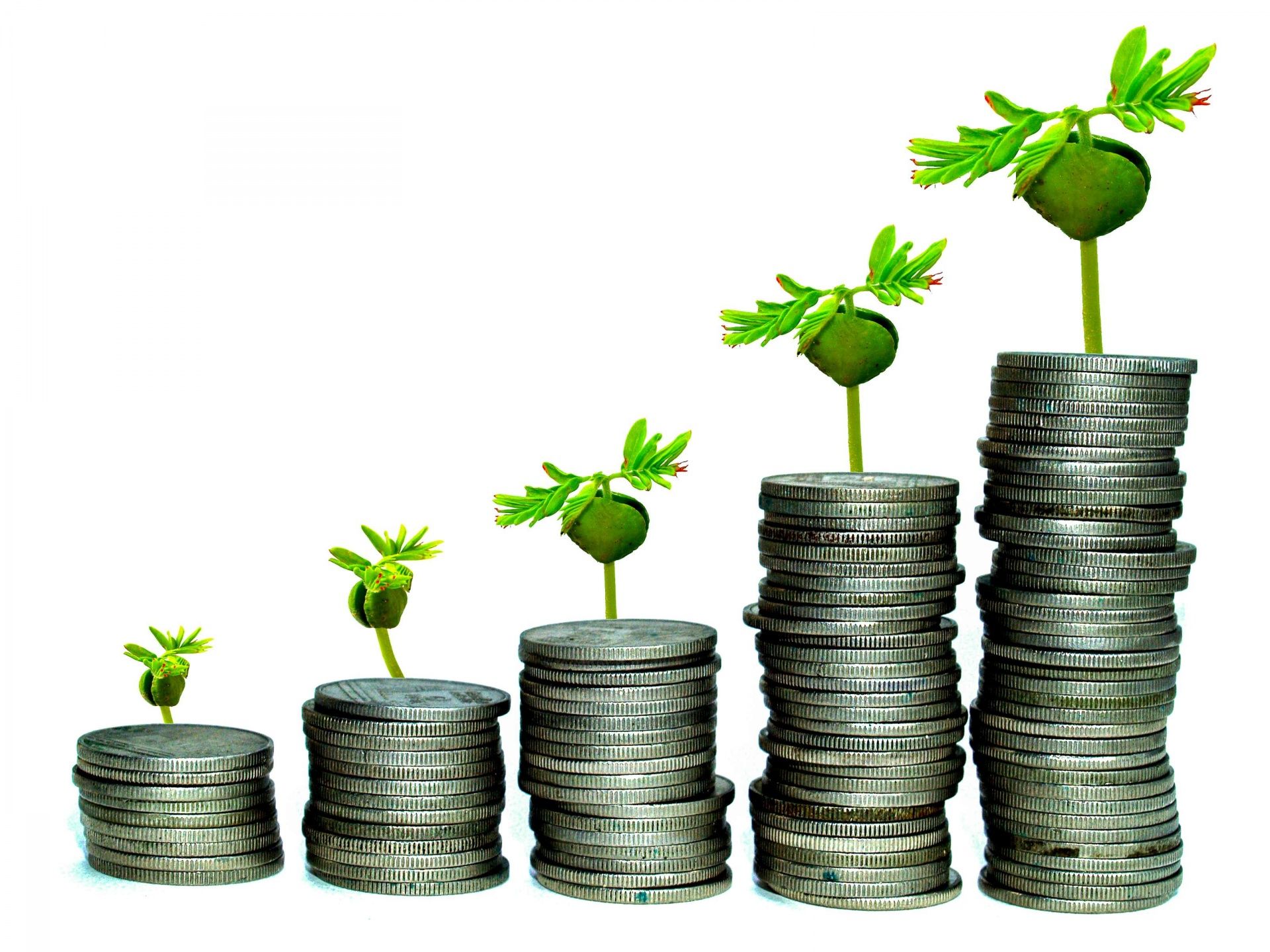 Stacks of coins with growing plants